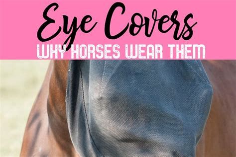 Types of Horse Eye and Face Covers and Why They Are Needed - Helpful Horse Hints