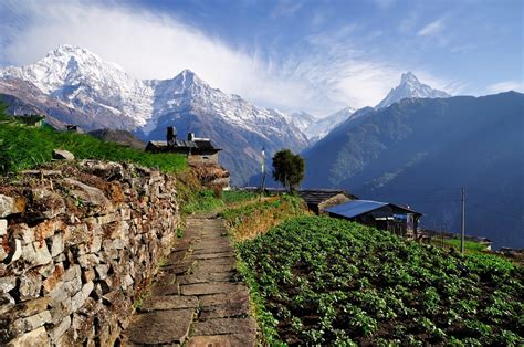 Trekking Options in the Annapurna Region