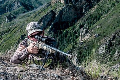 A Dummies Guide To: Long-Range Hunting Bullets - Petersen's Hunting