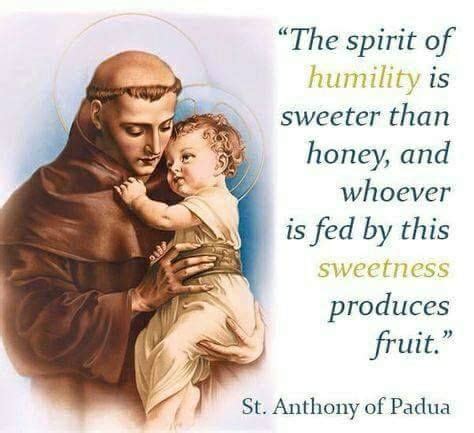 St.Anthony | Saint quotes catholic, Catholic, Saint anthony of padua