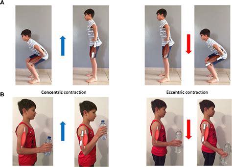 concentric and eccentric exercise examples > OFF-59%