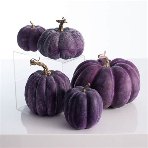 Purple Weathered Thanksgiving Harvest Halloween Colorful Pumpkin Set ...