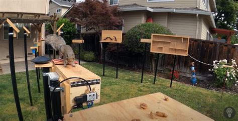 NASA Engineer builds bird feeder obstacle course to stump stealing ...