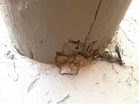 FREE PEST & TERMITE INSPECTIONS SINCE 1947!