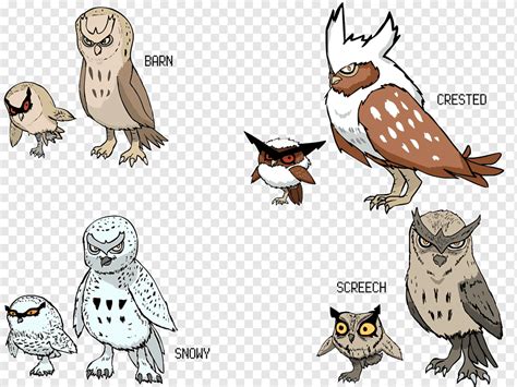 Línea evolutiva de hoothoot noctowl pokémon pen, pokemon, vertebrado ...