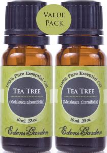 Benefits Of Tea Tree Oil For Acne (Pimples, Spots And Skin) - Best Acne Treatments That Work