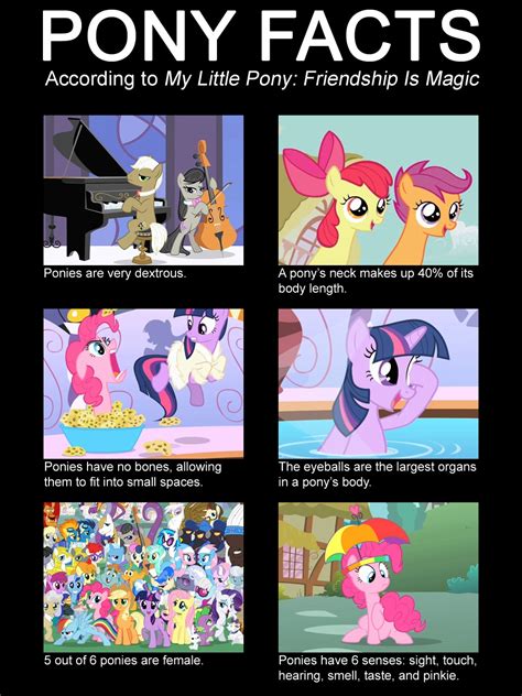 [Image - 403867] | My Little Pony: Friendship is Magic | Know Your Meme