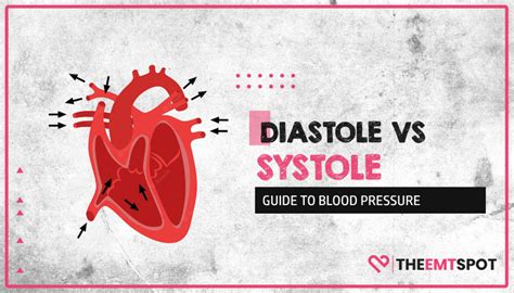 Diastole Vs. Systole: Guide To Blood Pressure - TheEMTSpot