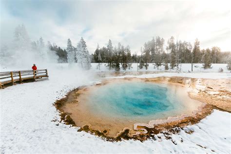 Why You Should Book a Winter Trip to Yellowstone National Park