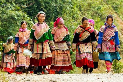 hmong - | Hmong people, Sapa vietnam, Hmong clothes