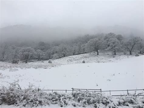 Snow covered field below Nab Scar © Steven Brown cc-by-sa/2.0 :: Geograph Britain and Ireland