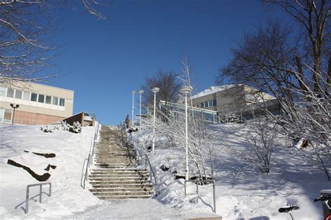 University of Turku | WFFC