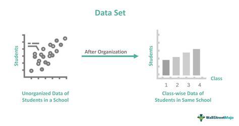 Data Set - What Is It, Examples, Types, Vs DataFrame & Database