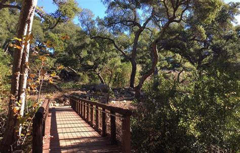 Santa Barbara Botanic Garden Day Trip Connect With Nature