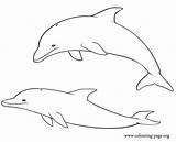 Dolphins  A Couple Of dolphins Playing coloring Page sketch template