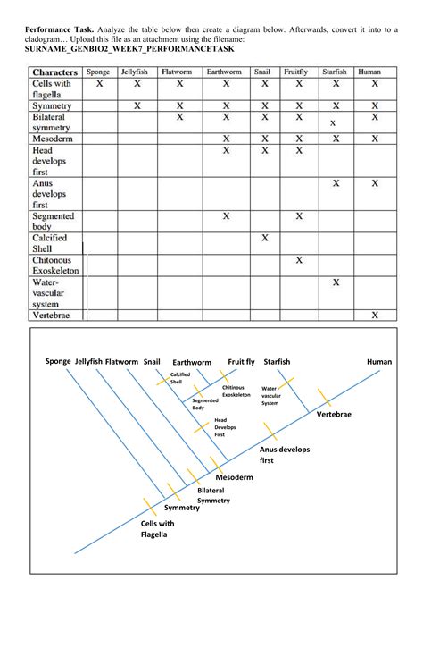 CLADOGRAM GEN BIO