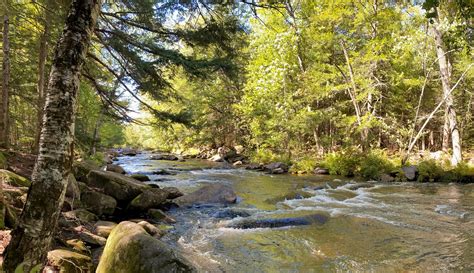 Late summer on the Crooked River