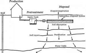 Surface Irrigation - Its Working, 3 Types, and Advantages