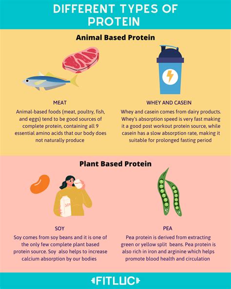 How To Choose Your Protein Sources?