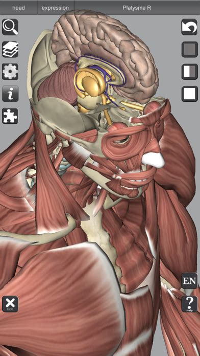 3D Anatomy Learning | App Price Drops