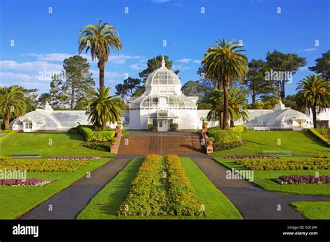 The Victorian Conservatory of Flowers botanical garden in Golden Gate Park, San Francisco ...