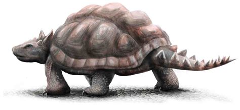 Image - Meiolania turtle.png | Speculative Evolution Wiki | FANDOM ...