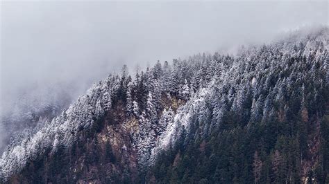 desktop-wallpaper-laptop-mac-macbook-air-ny66-cold-mountain-winter-tree ...