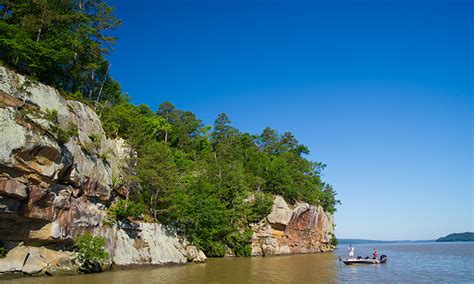 Lake Dardanelle | Arkansas.com