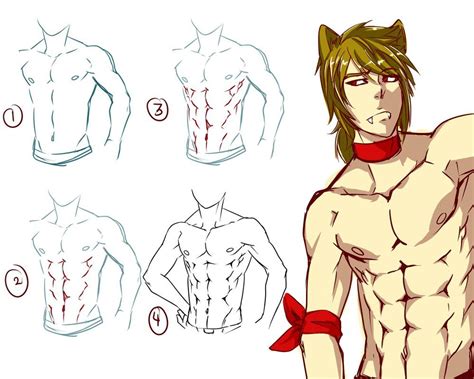 How To Draw Abs Anime Anime muscular male abs outline drawing start the drawing of the abs by ...