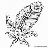 Peacock Feather Coloring Pages  Free & Printable sketch template