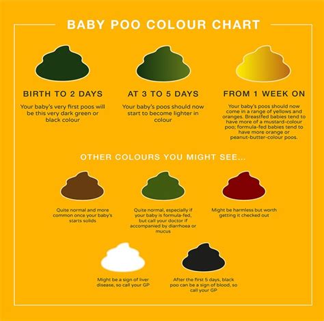 Month Old Baby Poop Schedule | edu.svet.gob.gt