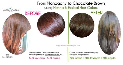 Trovato su Google da beautiliciousdelights.com | Chocolate brown hair color, Henna hair dyes ...