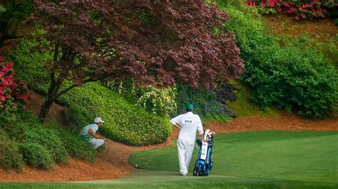 Masters champion Jordan Spieth evaluates his stroke from under a tree on the No. 12 hole as ...