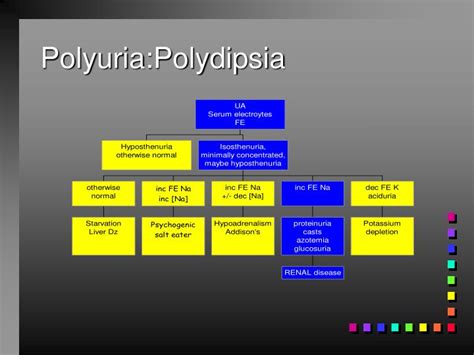 PPT - Problem-oriented approach to Polyuria:Polydipsia PowerPoint Presentation - ID:1287188