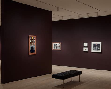 Special Exhibitions at the New MoMA | All Of It | WNYC