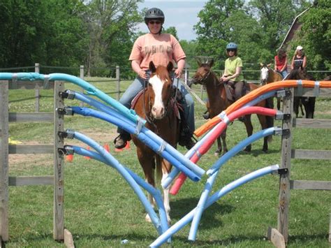 home made horse obstacle course Archives - Horse and Man