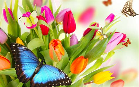 Free Desktop Wallpaper Butterflies And Flowers at Sandra Phillips blog