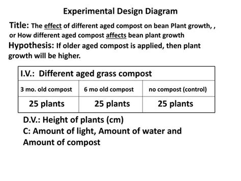 PPT - Experimental Design Diagram PowerPoint Presentation, free download - ID:1923378