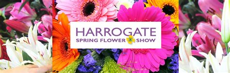 Harrogate Spring Flower Show 2019 Opening Times | Best Flower Site