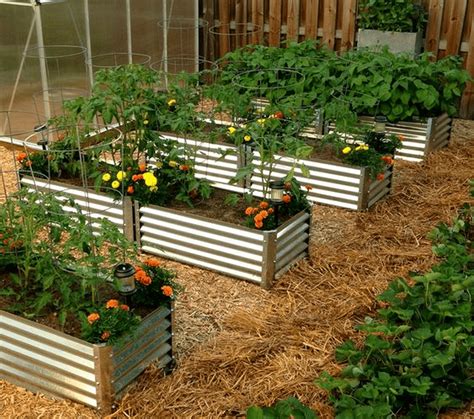 Crafting a DIY Corrugated Metal Raised Bed Garden: 5 Easy Strategies