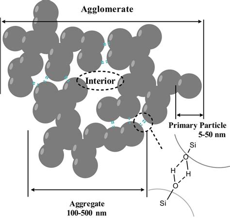 Structuring of hydroxy-terminated polydimethylsiloxane filled by fumed silica