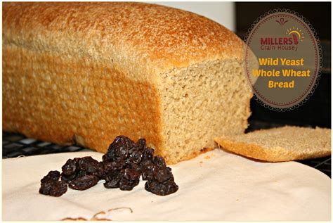 No yeast? No problem! Go Wild! Whole Wheat Bread with Wild Yeast! | Millers Grain House