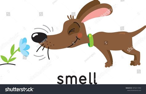 Smell Picture: Over 1,597 Royalty-Free Licensable Stock Vectors & Vector Art | Shutterstock