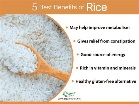 Benefits of rice – Artofit