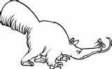 Magic Coloring  Animals coloring pages Anteaters sketch template