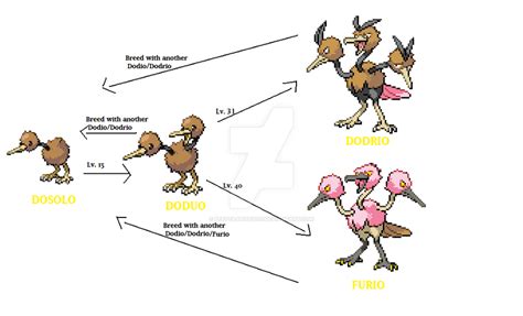 Doduo Evo Line by Peetzaahhh2010 on DeviantArt