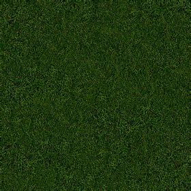 Green grass texture seamless 13025