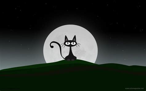 Halloween Cat Wallpaper HD Free Download