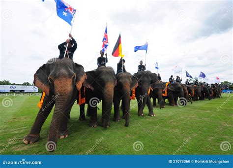 Elephant Polo editorial image. Image of field, india - 21073360