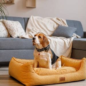 Dog Bed With Washable Cover, Pet Bed for Dogs & Cats, Big Dog Bed With ...